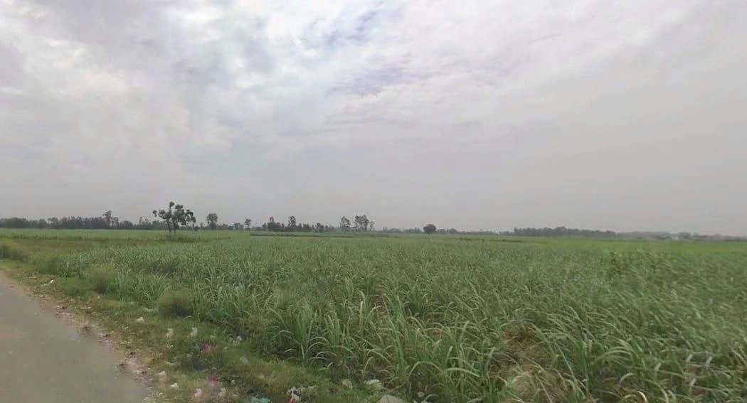 Nagina, Uttar Pradesh 246762, India preview 2