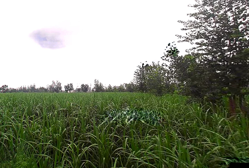 Laksar, Uttarakhand 247663, India preview 3