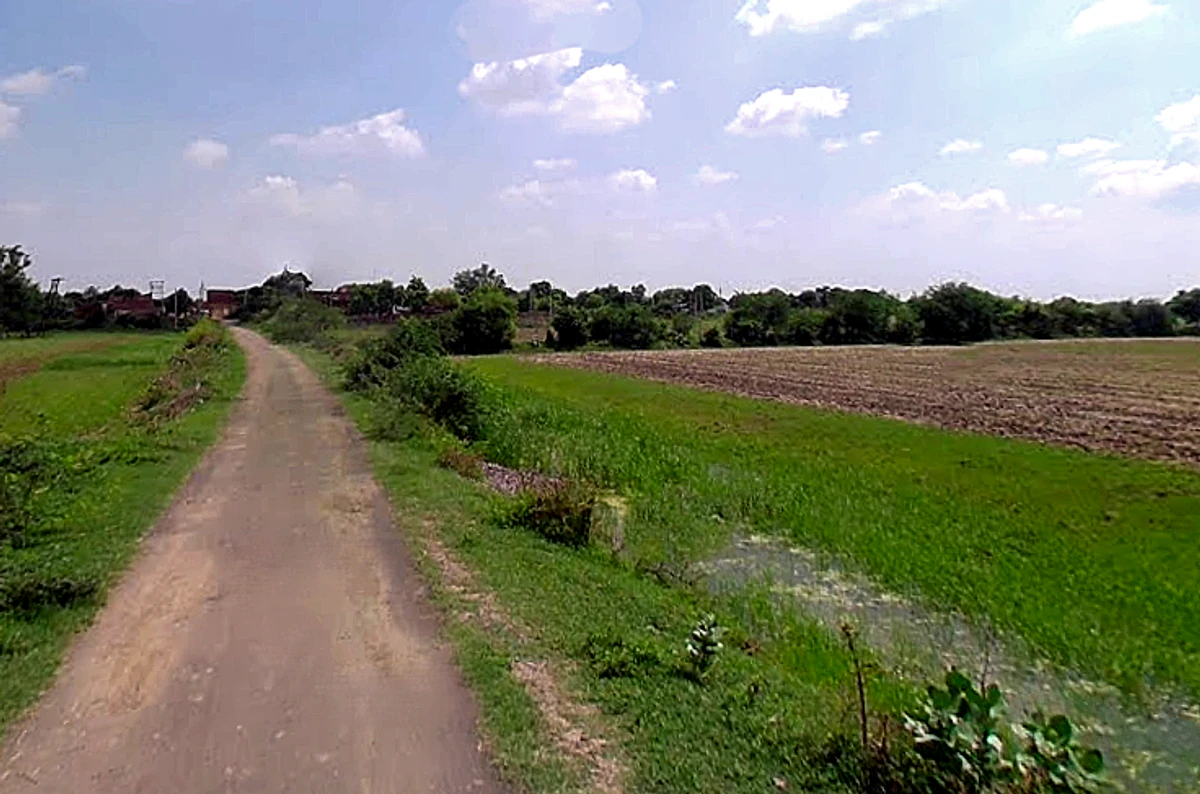 WWJP+82 Debiganj, Uttar Pradesh, India