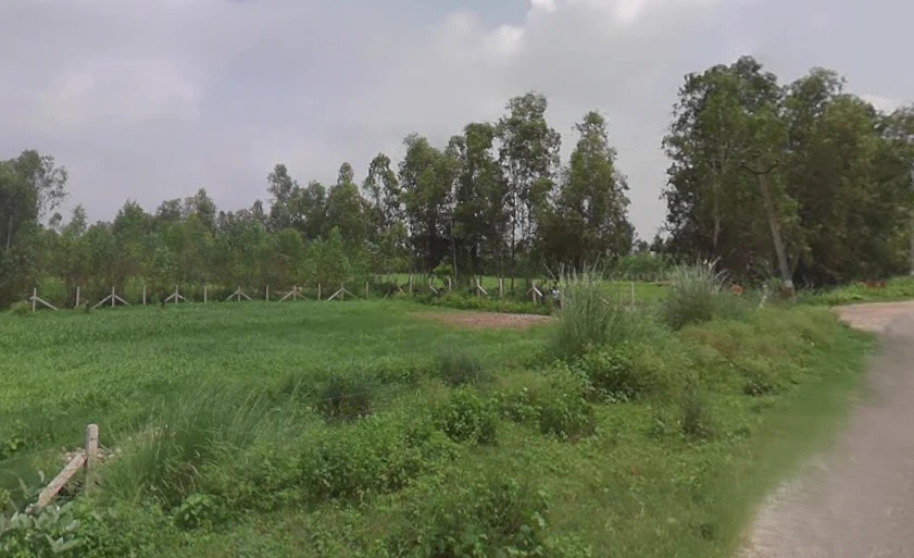 Kurdi Khera, Uttar Pradesh 247129, India