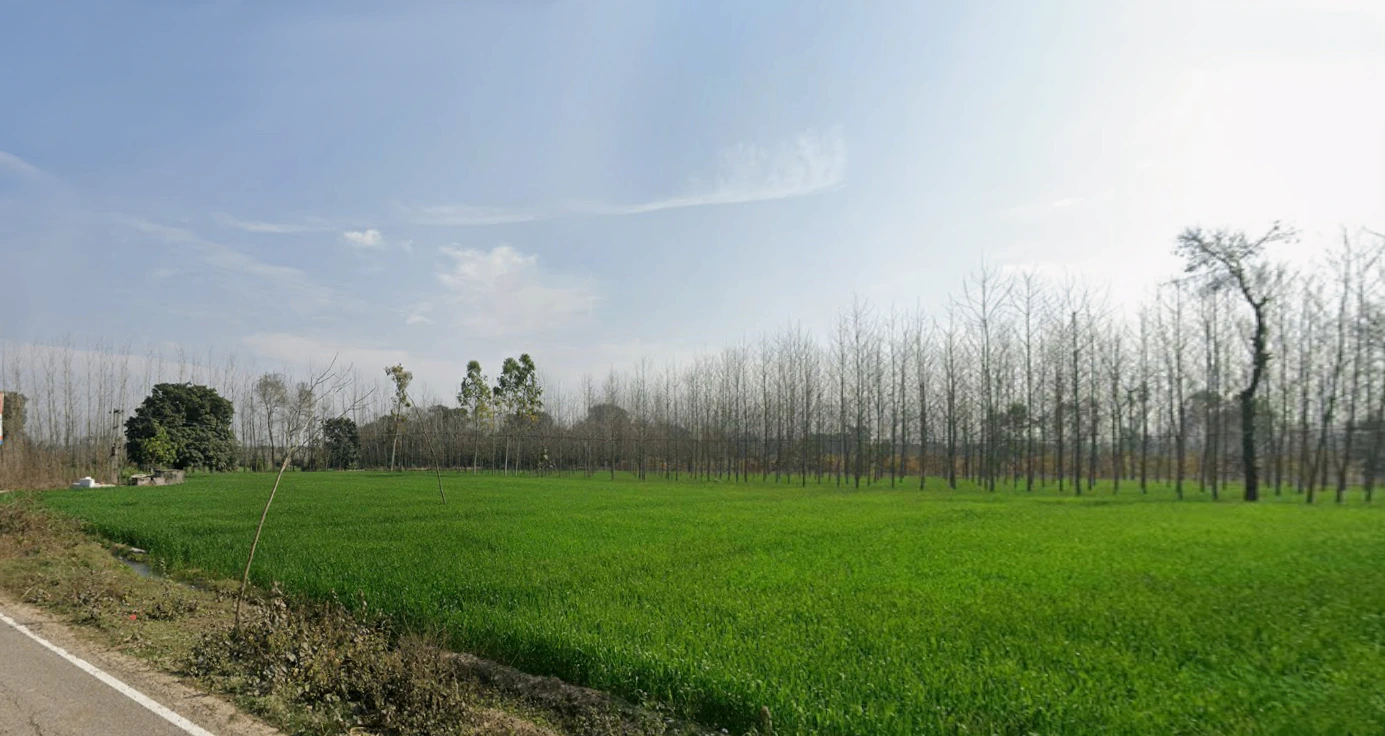 Muzaffarabad, Uttar Pradesh 247129, India