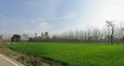 Muzaffarabad, Uttar Pradesh 247129, India preview 2