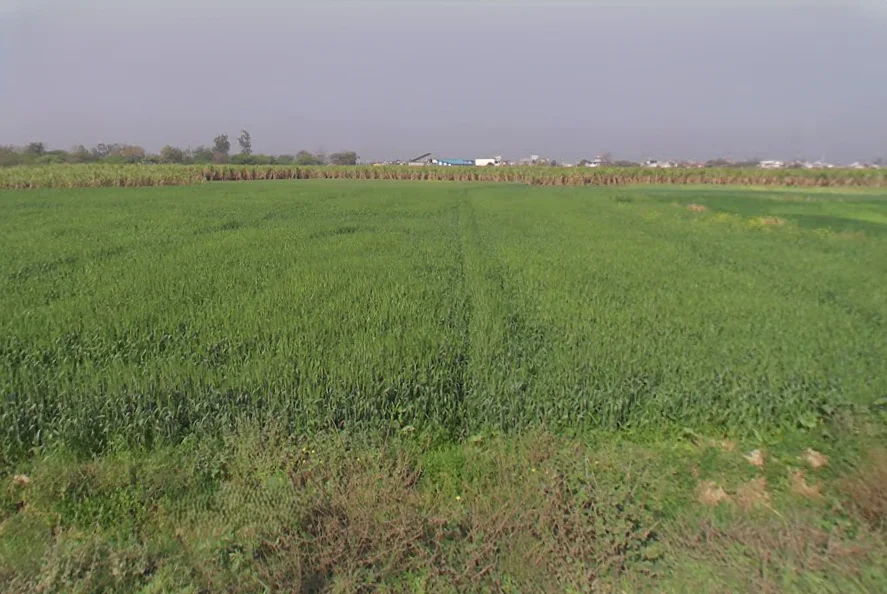 Dabathwa, Uttar Pradesh 250341, India preview 2