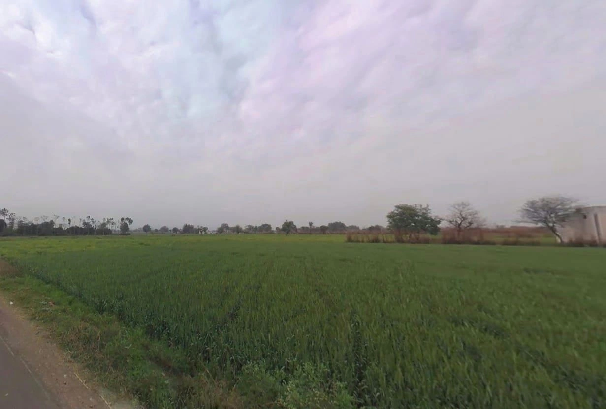 CJF4+W8 Mohabbatpur, Rajasthan, India