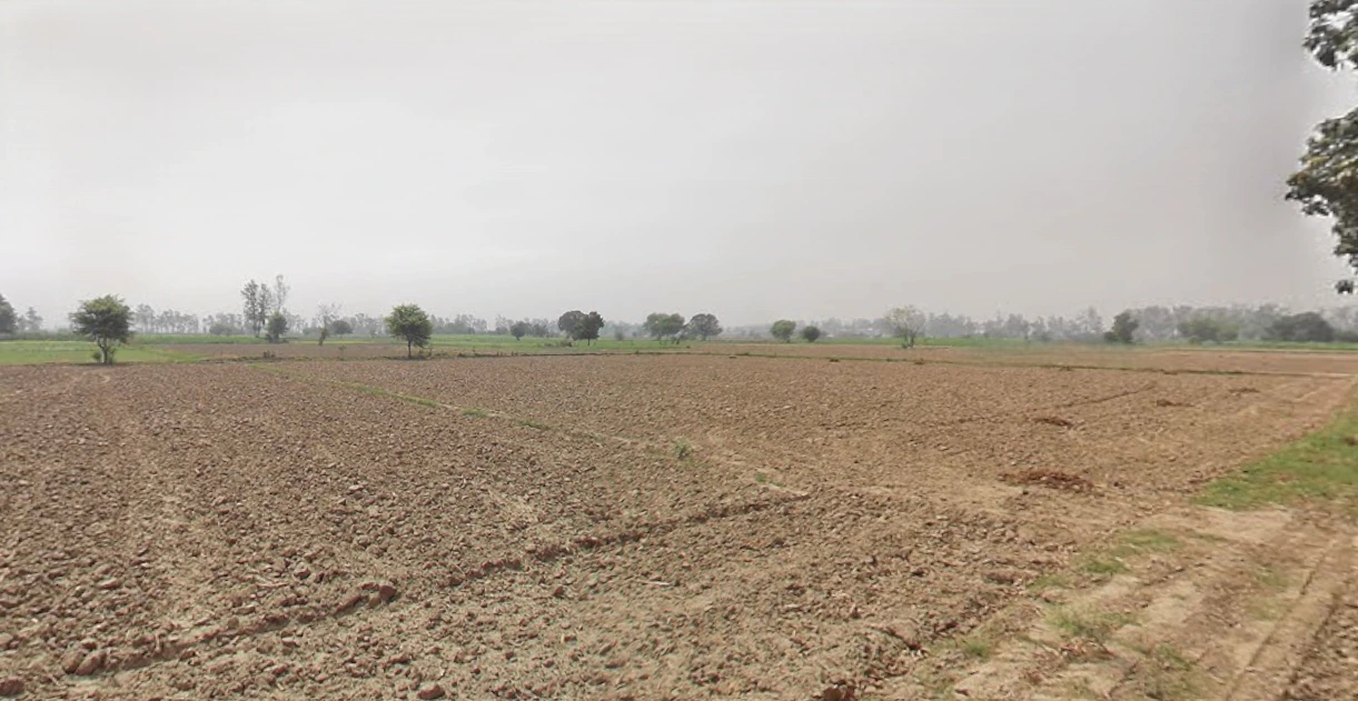 Butana, Haryana 131302, India