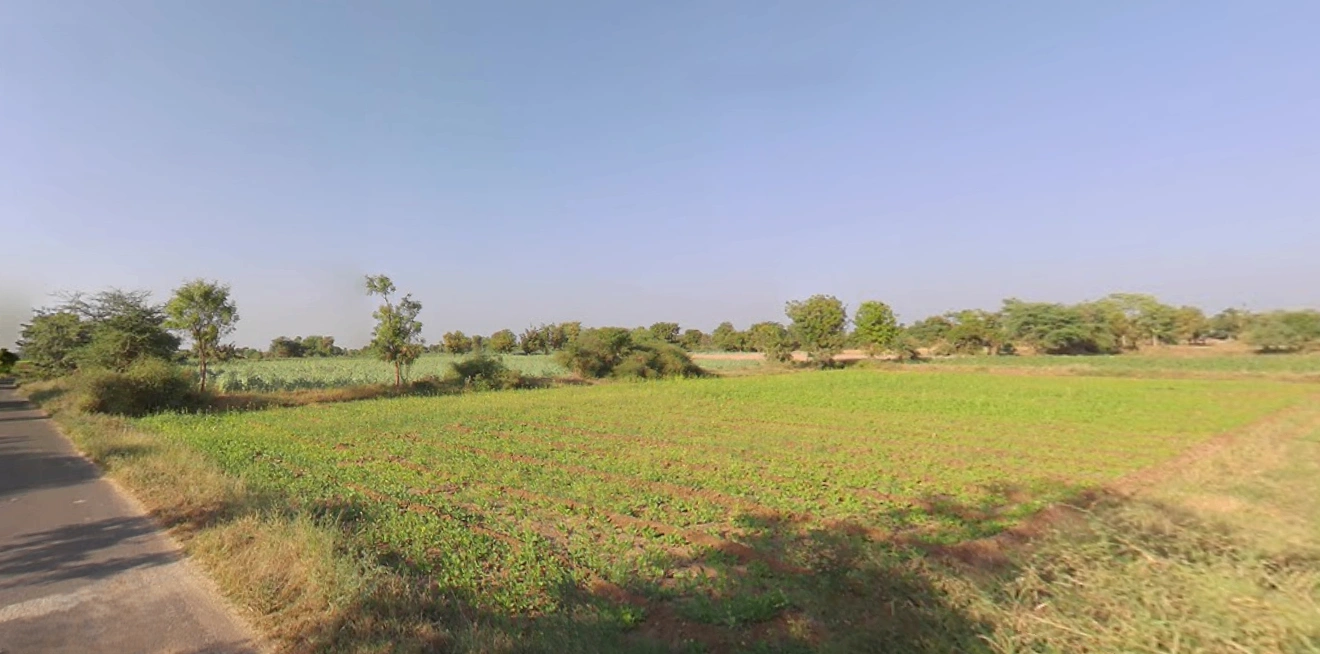 Hansalpur, Gujarat 382150, India