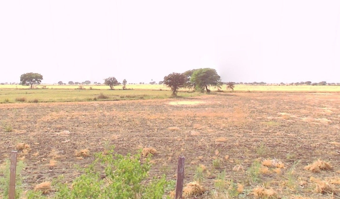 Chichanda, Madhya Pradesh 460665, India