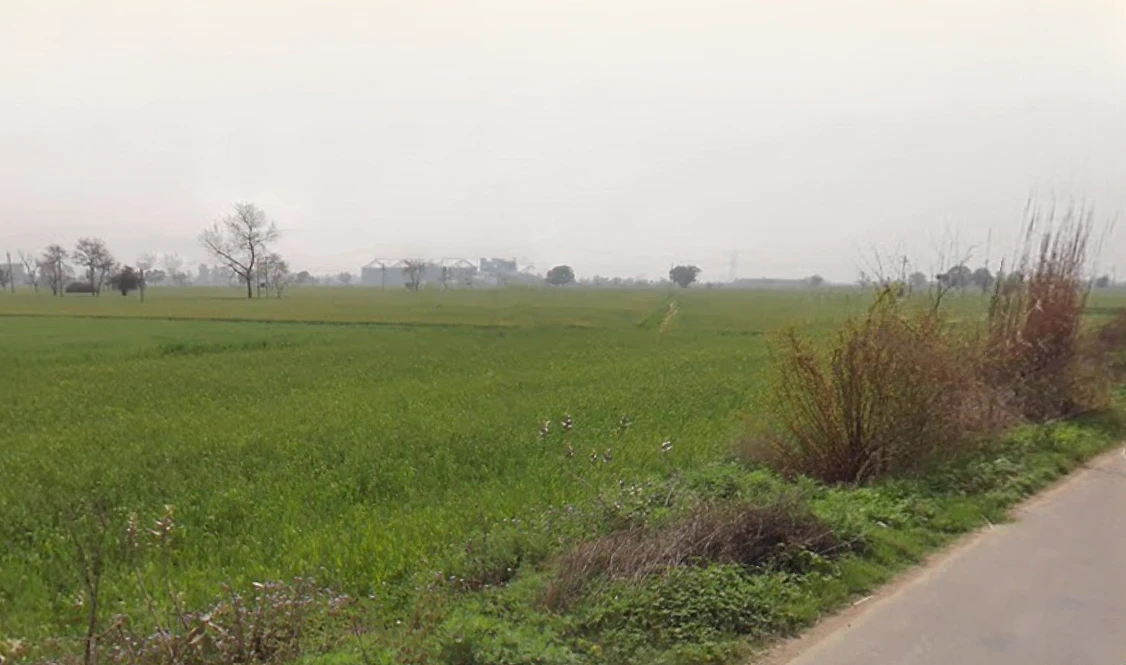 Tihar, Haryana 131301, India