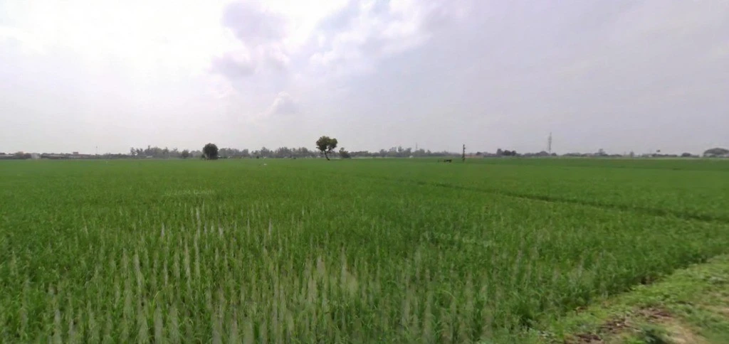 Kutail, Haryana, India