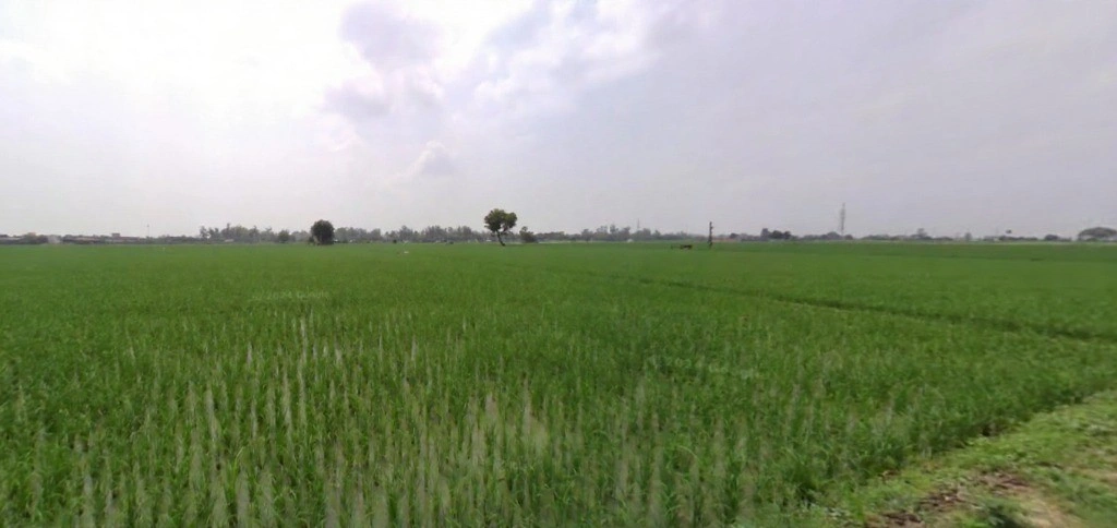 Kutail, Haryana, India