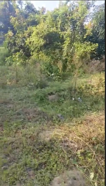 6F9P+H2V, Palwal, Bagpur Kalan, Haryana 121004, India