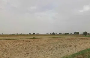 Hasanganj, Uttar Pradesh 209841, India preview 2