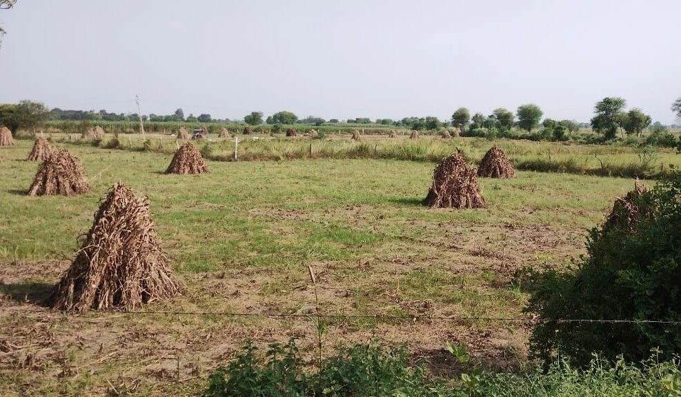 Naugaon, Rajasthan 301025, India