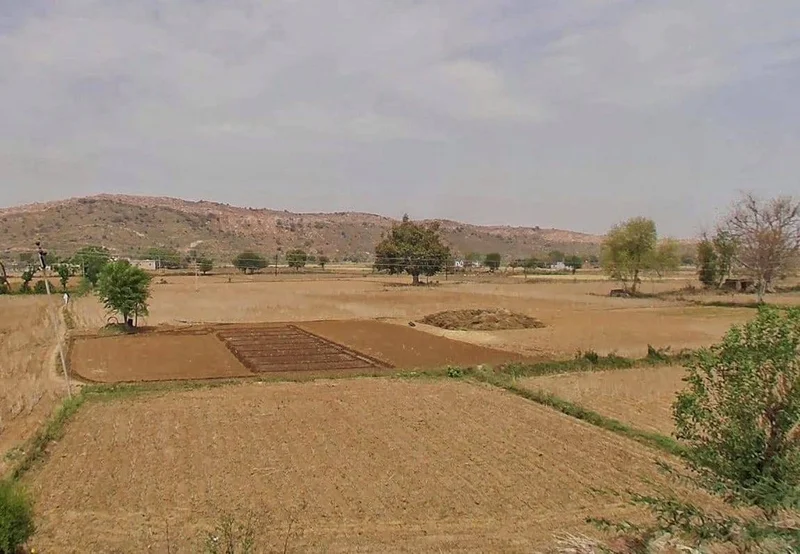 QM7H+MJ Shyamaka, Rajasthan, India preview 3