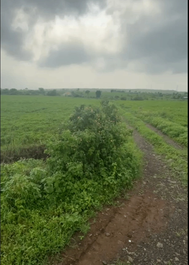 Biaora, Madhya Pradesh 465674, India