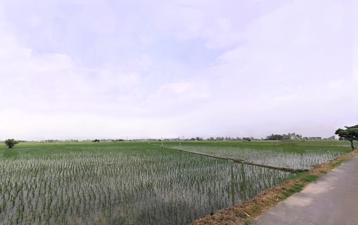 Dhurala, Haryana 136119, India