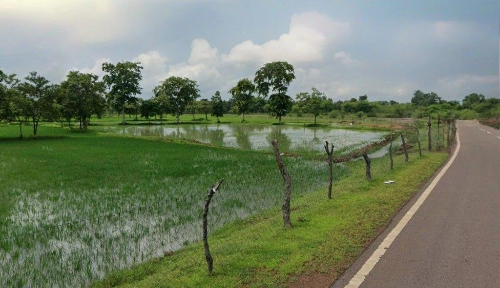 Kusmi, Chhattisgarh 491332, India