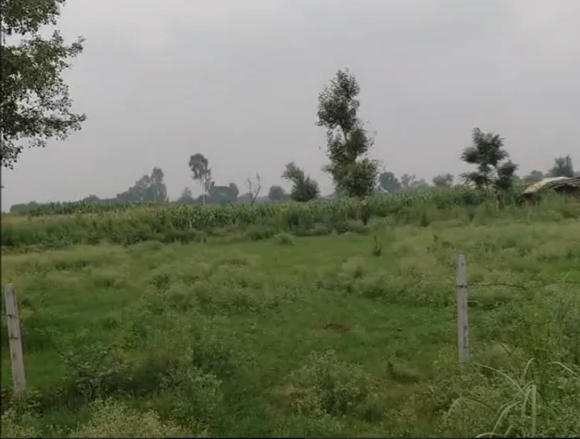 F2M3+VQ Ilna, Bulandshahr, Uttar Pradesh, India