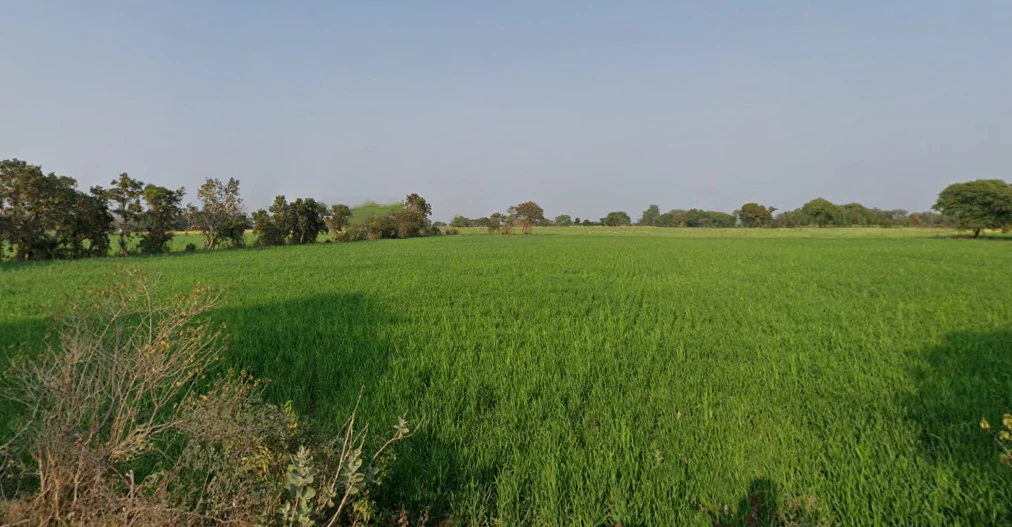Khadera Khurd, Madhya Pradesh 470337, India