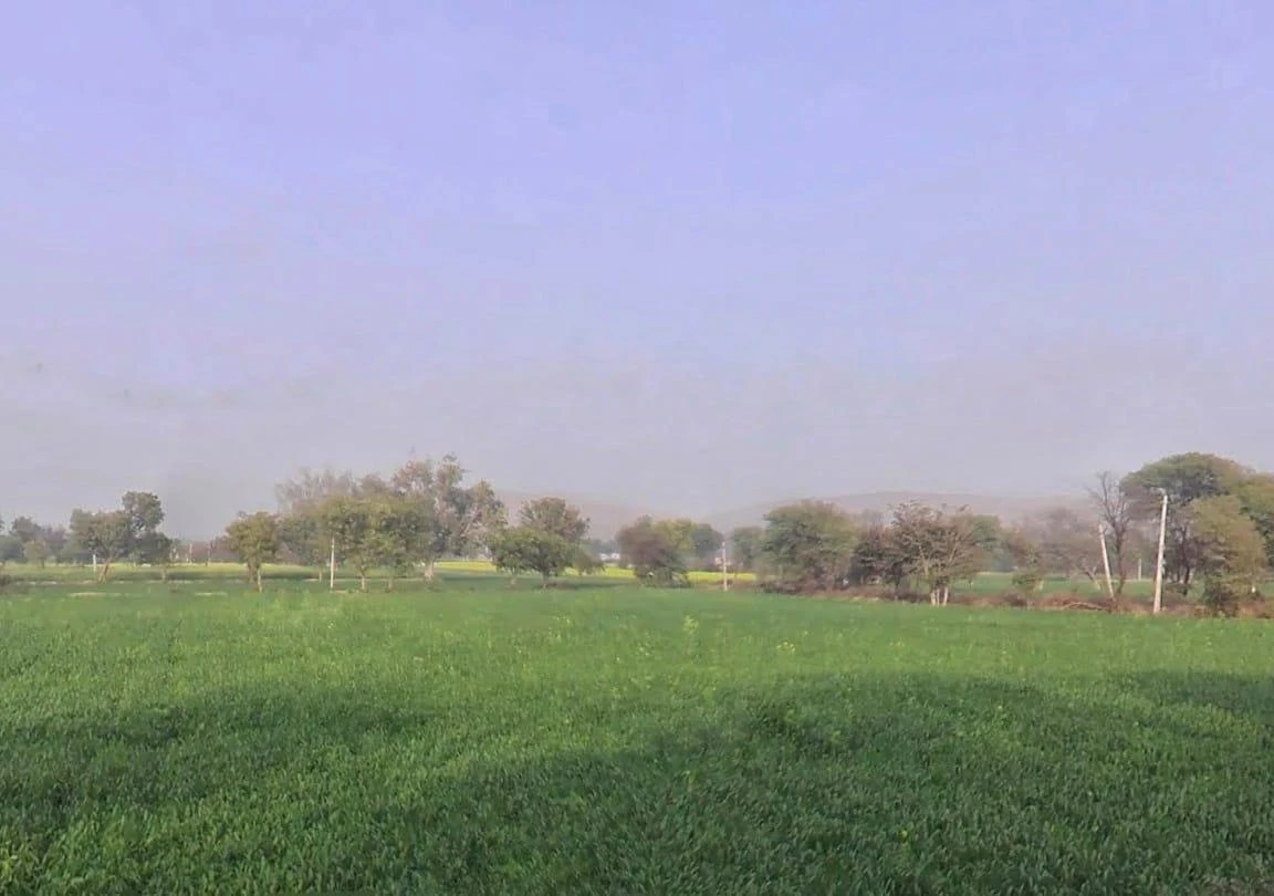 7MXQ+M66, Patan, Rajasthan 301414, India