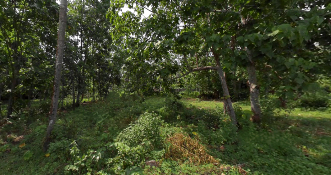 697J+MX3, Karayamparambu, Karukutty, Angamaly, Kerala 683576, India