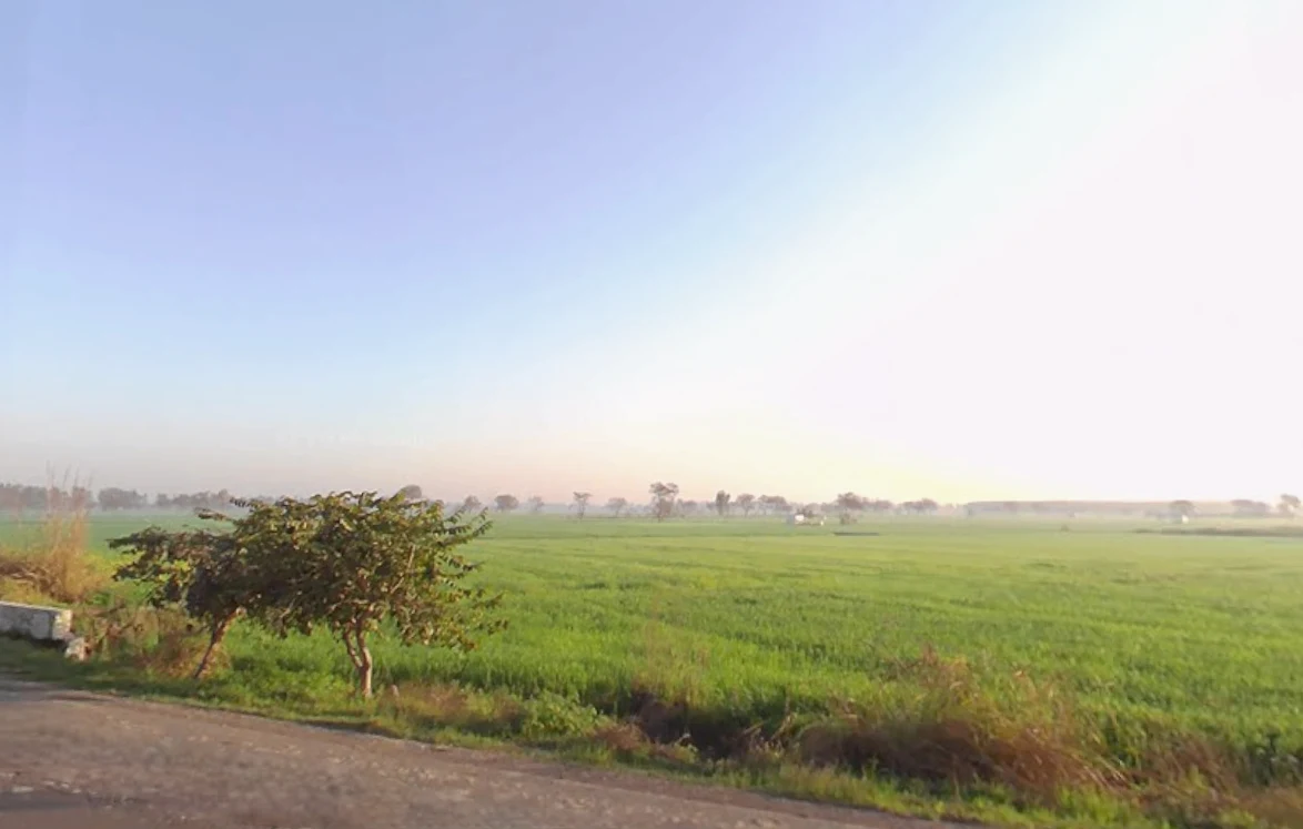 Beri - Jhajjar Marg, Haryana, India