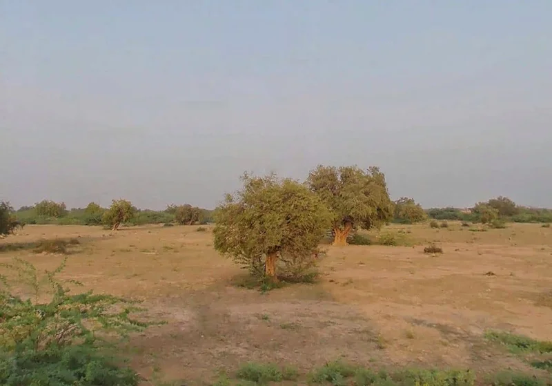 Ramdevra, Rajasthan 345023, India preview 3