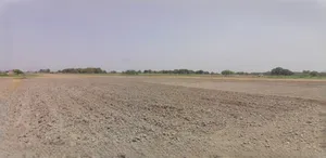 Sonipat, Haryana, India preview 2