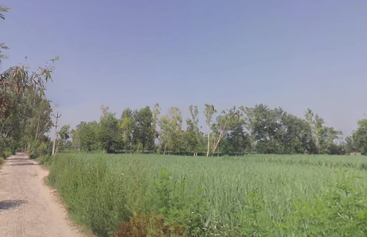Sihali Jageer, Uttar Pradesh, India