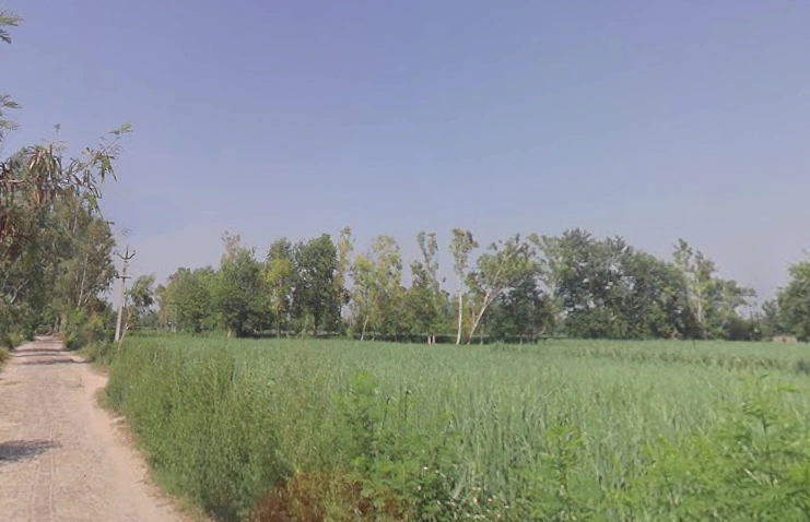 Sihali Jageer, Uttar Pradesh, India