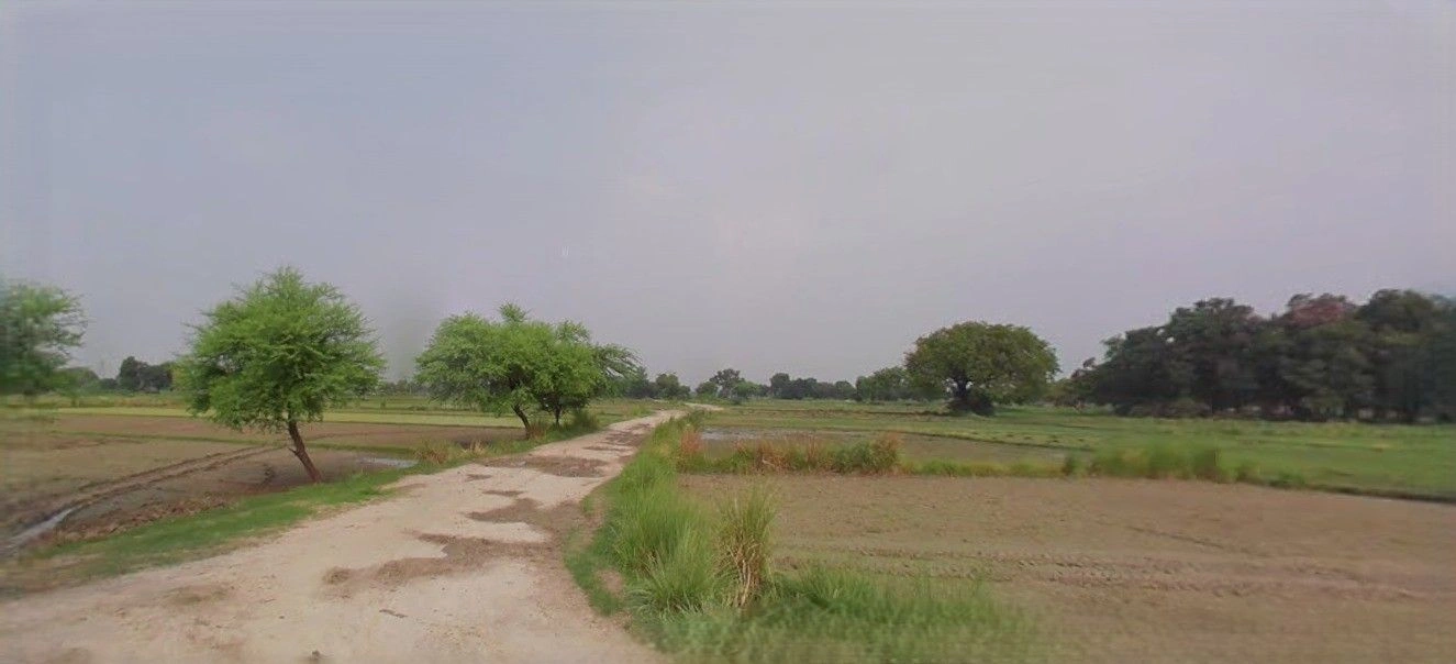 Rampur Maniharan, Uttar Pradesh 247451, India preview 2