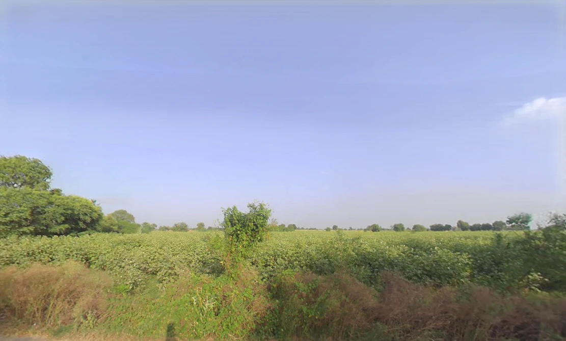 Kirawar, Haryana 127035, India