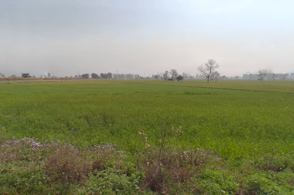 Tihar, Haryana 131301, India