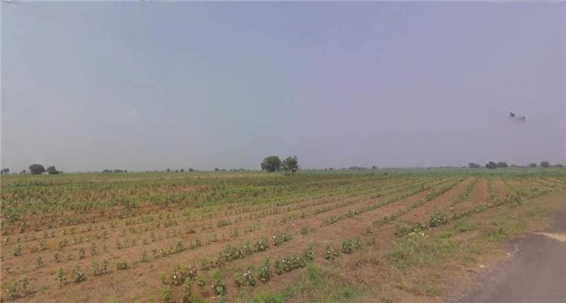 karle, Maharashtra, India preview 2