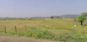 Machwas, Madhya Pradesh, India preview 4