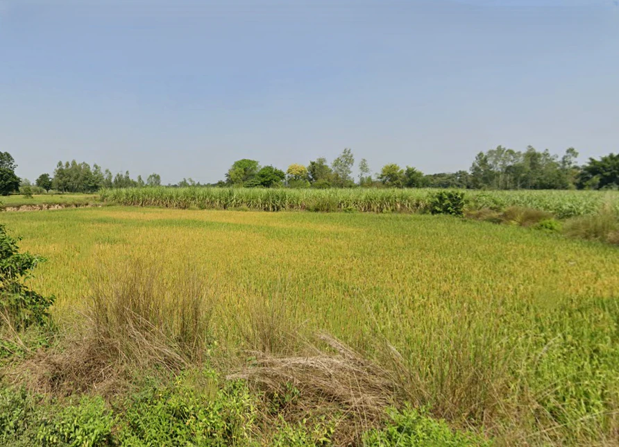Sohawal, Uttar Pradesh, India