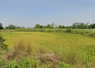 Sohawal, Uttar Pradesh, India preview 3