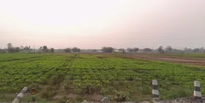 Jalpaiguri, West Bengal, India preview 3