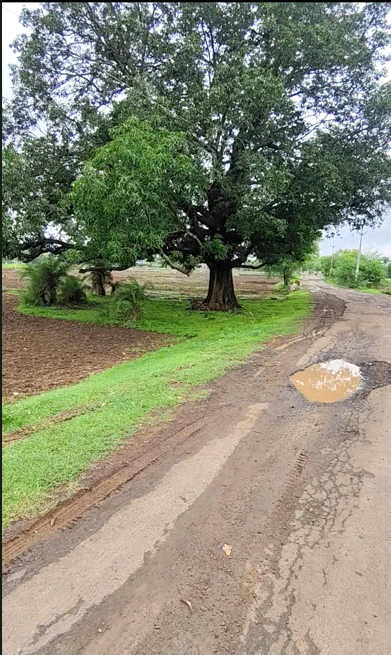 4R29+8PG, Karadiya, Madhya Pradesh 453001, India