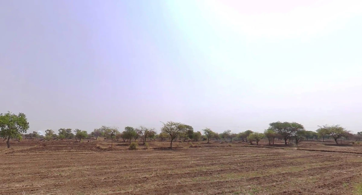 Bemetara Nawagarh Rd, Andhiyarkhor, Chhattisgarh, India