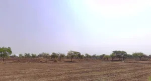 Bemetara Nawagarh Rd, Andhiyarkhor, Chhattisgarh, India preview 3