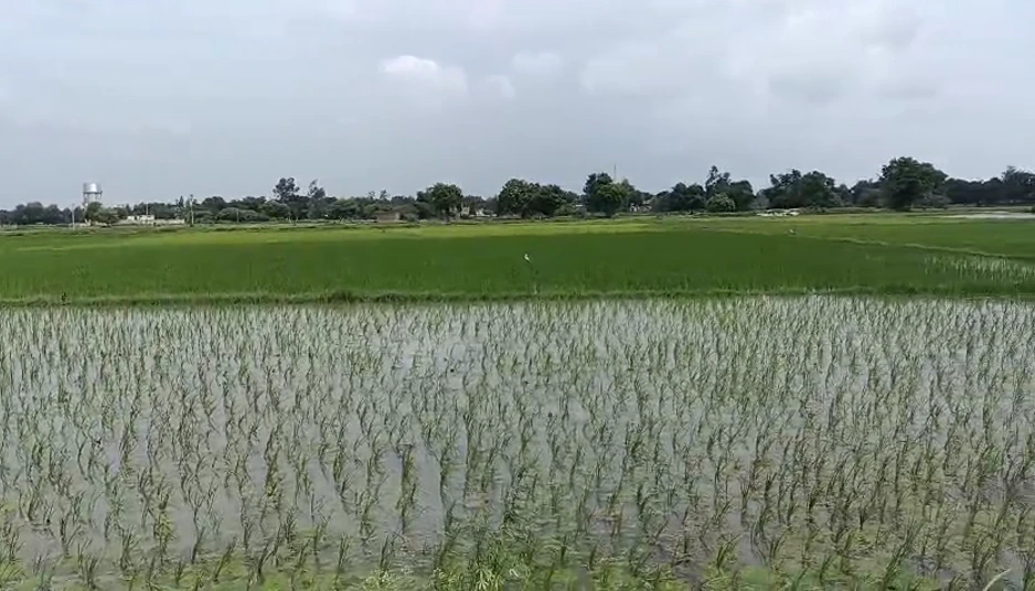 Raninagala, Moradabad, Uttar Pradesh, India