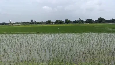 Raninagala, Moradabad, Uttar Pradesh, India preview 3