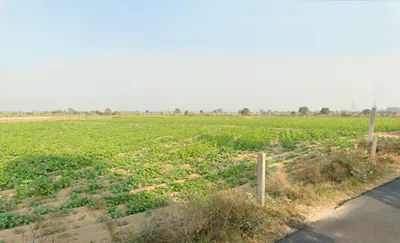 Sanga, Haryana 127309, India preview 3