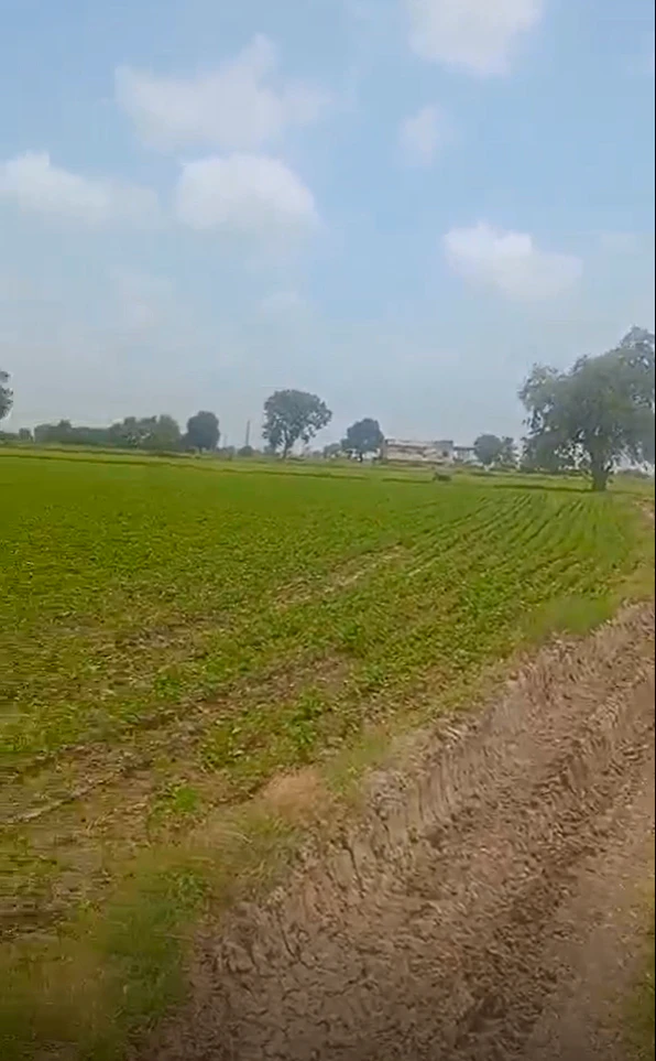 Berasia, Bhopal, Madhya Pradesh 463106, India