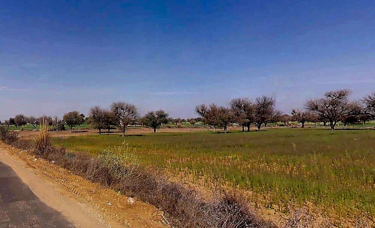 Aloda, Rajasthan 332602, India