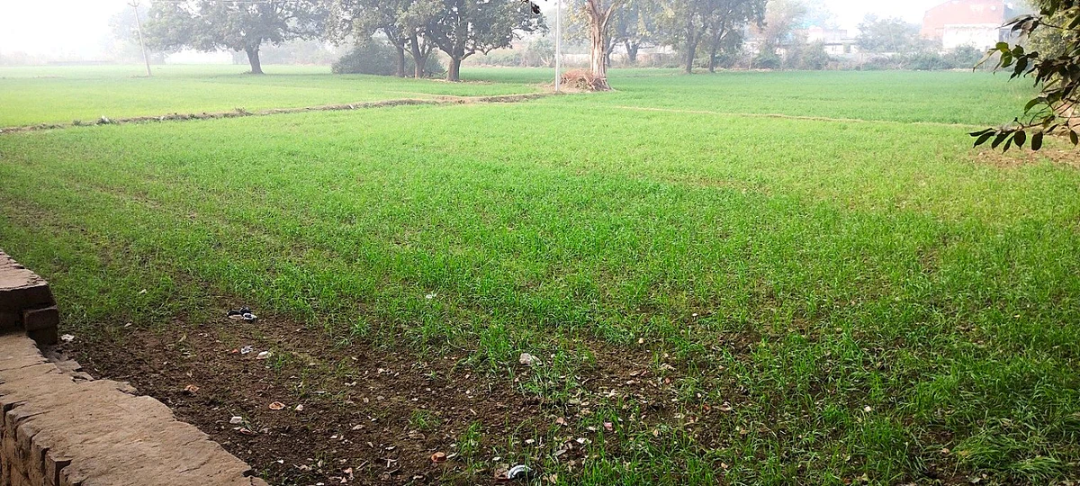 Sewar, Bharatpur, Rajasthan, India