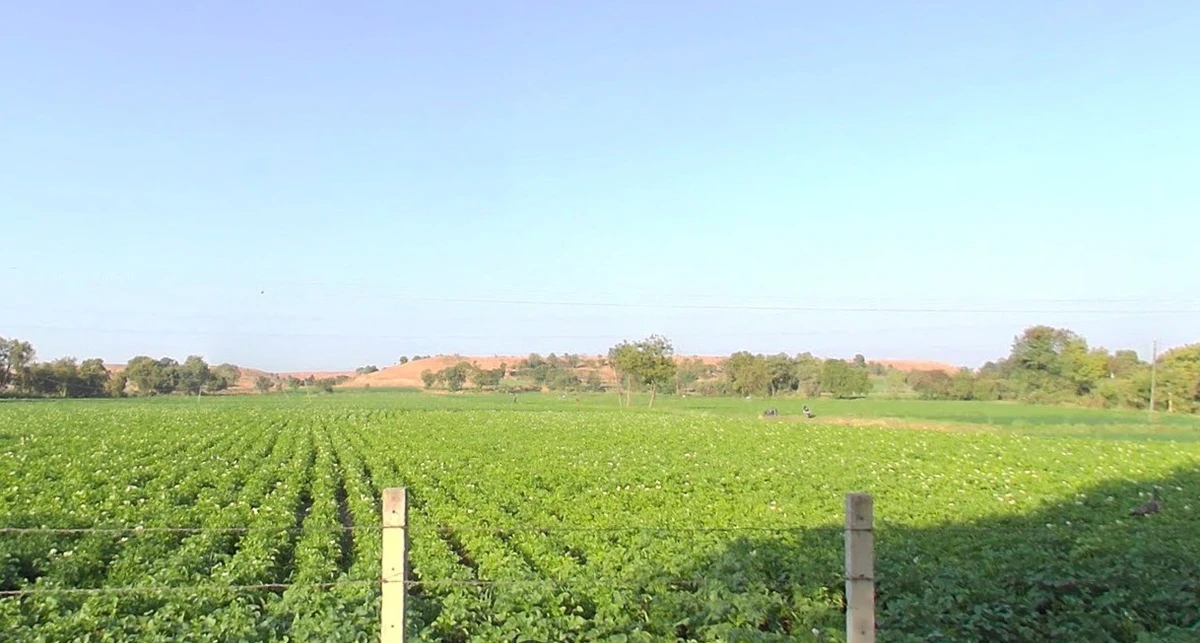 693, Sector 3, Pithampur Industrial Area, Pithampur, Madhya Pradesh 453001, India