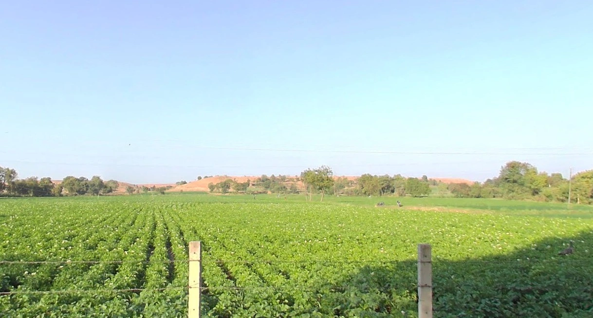 693, Sector 3, Pithampur Industrial Area, Pithampur, Madhya Pradesh 453001, India