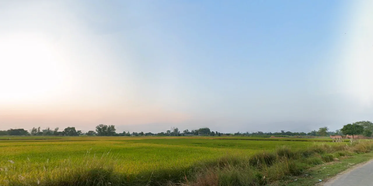 Shahzad Pur, Akbarpur, Uttar Pradesh 224122, India preview 3